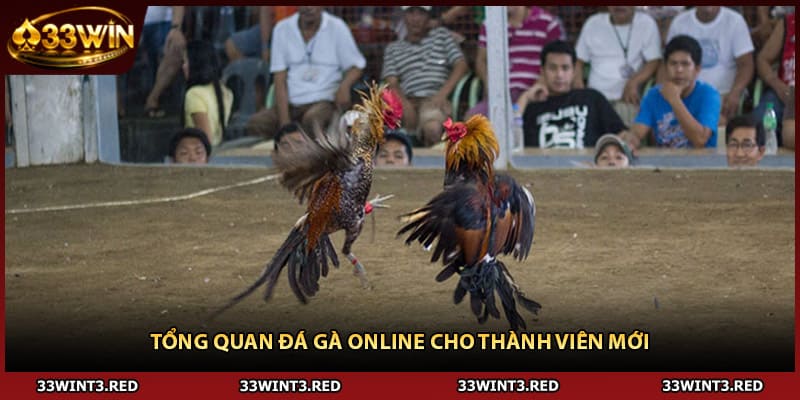 Tổng quan đá gà online cho thành viên mới